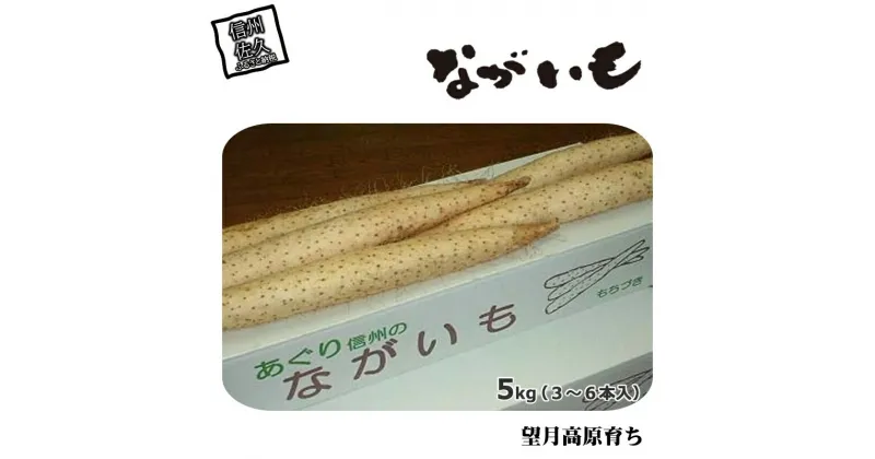 【ふるさと納税】長野県産 ながいも 約5kg 〈2024年11月25日出荷開始～2024年12月20日出荷終了〉【 長芋 長いも 高原野菜 信州佐久 望月高原 ながいも 土作りからこだわり 作物本来の美味しさを目指して栽培 長野県 佐久市 あぐり信州 】