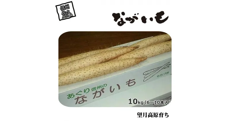 【ふるさと納税】長野県産 ながいも 約10kg 〈2024年11月25日出荷開始～2024年12月20日出荷終了〉【 長芋 長いも 高原野菜 信州佐久 望月高原 ながいも 土作りからこだわり 作物本来の美味しさを目指して栽培 長野県 佐久市 あぐり信州 】