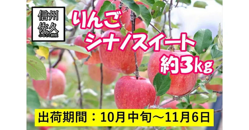 【ふるさと納税】りんご シナノスイート 大玉7~12個 約3kg 長野県佐久市産 （ 沖縄、離島への発送不可)【出荷時期：2024年10月10日出荷開始～2024年11月6日出荷終了】【梅屋果樹園 標高750m 斜面を活用 色づき、糖度、肉質に優れ 林檎 リンゴ 長野県 佐久市 】