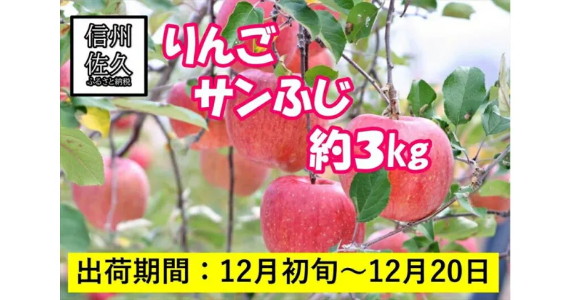 【ふるさと納税】りんご　サンふじ　大玉7～12個　約3kg　長野県佐久市産　（沖縄、離島への発送不可）【出荷時期：2024年12月4日出荷開始～2024年12月20日出荷終了】【梅屋果樹園　標高750m　斜面を活用　色づき、糖度、肉質に優れ　高い評価 長野県 佐久市 】