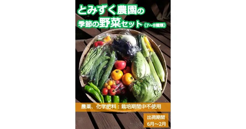 【ふるさと納税】とみずく農園の 季節の野菜セット〈出荷時期:2024年6月17日以降出荷開始～2025年2月28日出荷終了〉無農薬 高原野菜 旬 新鮮 詰合せ 【 産地直送 産直 季節の野菜 旬の野菜 有機野菜 有機栽培 農薬 化学肥料 不使用 長野県 佐久市 とみずく農園 】