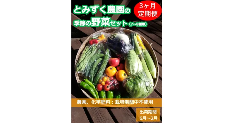 【ふるさと納税】【3ヶ月連続定期便】とみずく農園の季節の野菜セット 無農薬 高原野菜 旬 新鮮 詰合せ〈出荷時期:2024年6月17日以降出荷開始～2025年2月28日出荷終了〉【 産地直送 産直 季節の野菜 旬の野菜 有機野菜 有機栽培 農薬 化学肥料 不使用 長野県 佐久市 】