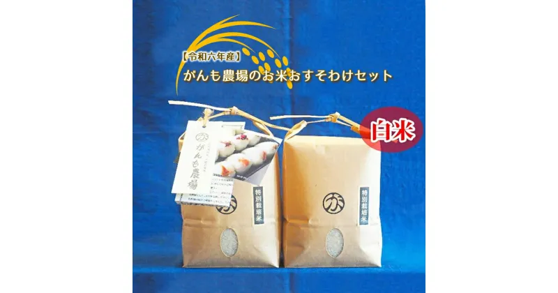 【ふるさと納税】【令和六年産】がんも農場のお米おすそわけセット （白米）2kg×2個【出荷開始：2024年10月～】【ご家族や身近な方へのプレゼント　がんも農場　渡しやすい小さいパッケージ 長野県 佐久市 】