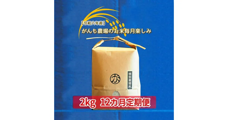 【ふるさと納税】【令和六年産】定期便 がんも農場のお米毎月楽しみ（白米） 2kg×12ヵ月【出荷開始：2024年10月～】【白米のみ　がんも農場　お米は粘り気が強く、甘みがあります 長野県 佐久市 】