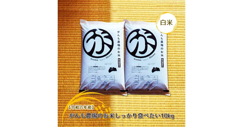 【ふるさと納税】【令和六年産】がんも農場のお米しっかり食べたい10kg（白米）【出荷開始：2024年10月～】【白米 精米 こしひかり コシヒカリ 粘り気が強く甘みがあります がんも農場 お米 冷めても美味しい 長野県 佐久市 】