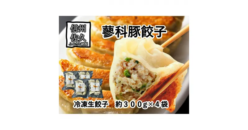 【ふるさと納税】蓼科豚餃子12個入り×4パック 冷凍餃子 高原野菜 ハイポー ブレンド豚 蓼科豚　信州味噌 信州佐久 餃子 上質な蓼科マーブルハイポーと信州味噌を使用しラード・化学調味料・合成保存料・合成着色料不使用 長野県 佐久市 】