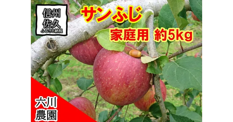 【ふるさと納税】 家庭用　サンふじ約5kg（1箱　14・16・18・20・23・25個入り）　りんご　フルーツ　果物〈出荷時期:2024年12月1日～12月25日〉【 当園にて愛情たっぷりに育てたりんご 長野県 佐久市 】