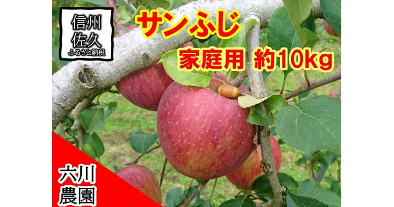 【ふるさと納税】家庭用　サンふじ約10kg（1箱　28・32・36・40・46・50個入り）　りんご　フルーツ　果物〈出荷時期:2024年12月1日～12月25日〉【 当園にて愛情たっぷりに育てたりんご 長野県 佐久市 】