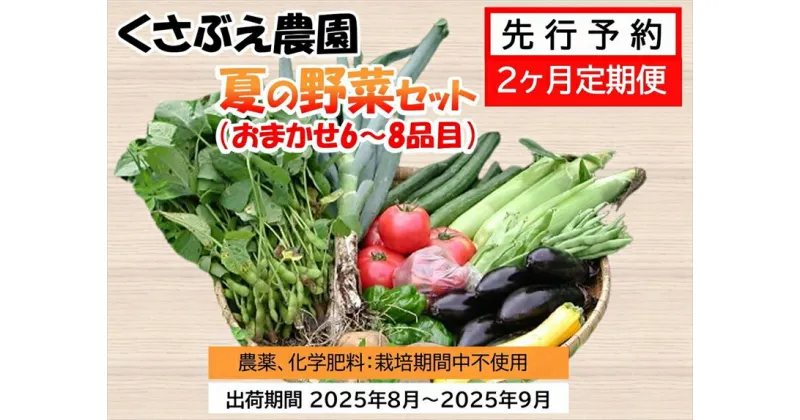 【ふるさと納税】【先行予約2ヶ月定期便】 くさぶえ農園 夏の野菜セット (おまかせ6～8品目) 高原野菜 無農薬〈2025年8月1日出荷開始～2025年9月30日出荷終了〉【 産地直送 産直 高原野菜 季節の野菜 旬の野菜 有機野菜 有機栽培 農薬 化学肥料 不使用 長野県 佐久市】