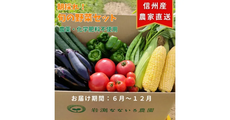 【ふるさと納税】 野菜セット 朝採れ 新鮮 7種 栽培期間中 無農薬 信州 長野県 高原 おまかせ ＜ 出荷時期 : 2024年6月1日出荷開始～2024年12月22日出荷終了＞ 【 産地直送 高原野菜 産直 季節の野菜 旬の野菜 農薬 化学肥料 不使用 長野県 佐久市 岩渕なないろ農園 】