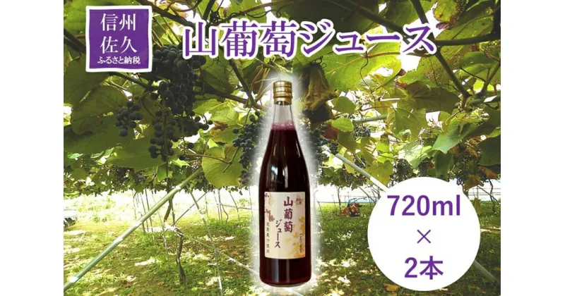 【ふるさと納税】 山葡萄ジュース2本セット＜2024年12月5日出荷開始～2025年5月26日出荷終了＞　ぶどう　無添加　無加糖　ポリフェノール【ぶどう 山葡萄ジュース2本セット 貴重な山葡萄を完熟 長野県 佐久市 】