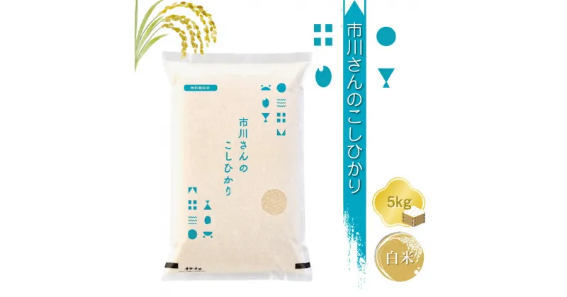 【ふるさと納税】特別栽培米　市川さんのこしひかり 令和6年産【白米5kg】　精米　コメ　信州　おいしい　ごはん【 米 コメ 備蓄品 仕送り おすそ分け 備蓄米 長野県 佐久市 】