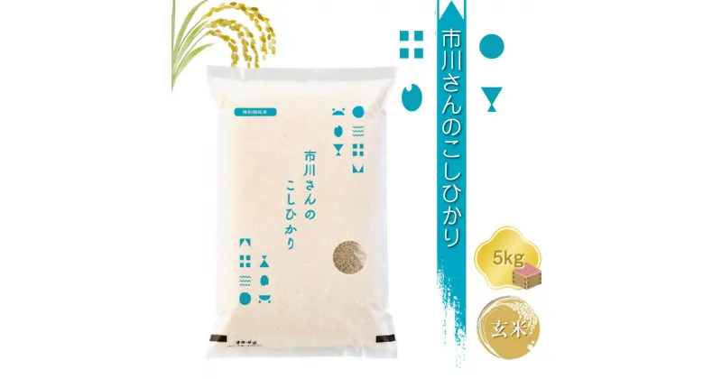 【ふるさと納税】特別栽培米　市川さんのこしひかり 令和6年産【玄米5kg】　コメ　信州　おいしい　ごはん【 米 コメ 備蓄品 仕送り おすそ分け 備蓄米 長野県 佐久市 】