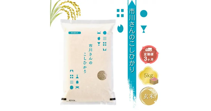 【ふるさと納税】特別栽培米　市川さんのこしひかり 令和6年産【玄米5kg×定期便3カ月】　コメ　信州　おいしい　ごはん【 米 コメ 備蓄品 仕送り おすそ分け 備蓄米 長野県 佐久市 】