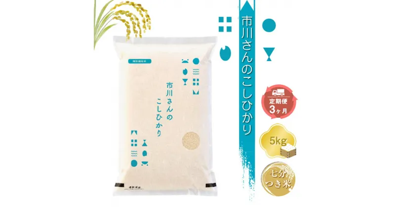 【ふるさと納税】特別栽培米　市川さんのこしひかり 令和6年産【7分つき米5kg×定期便3カ月】　コメ　信州　おいしい　ごはん【 米 コメ 備蓄品 仕送り おすそ分け 備蓄米 長野県 佐久市 】