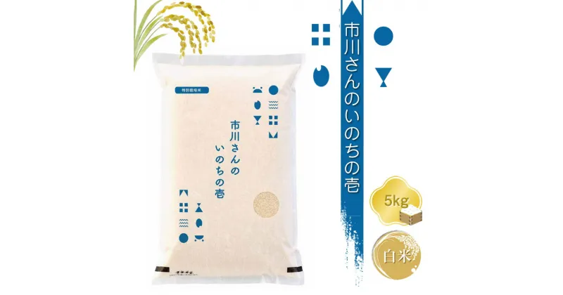 【ふるさと納税】特別栽培米　市川さんのいのちの壱　令和6年産【白米5kg】　精米　コメ　信州　希少　おいしい　ごはん【 米 コメ 備蓄品 仕送り おすそ分け 備蓄米 長野県 佐久市 】