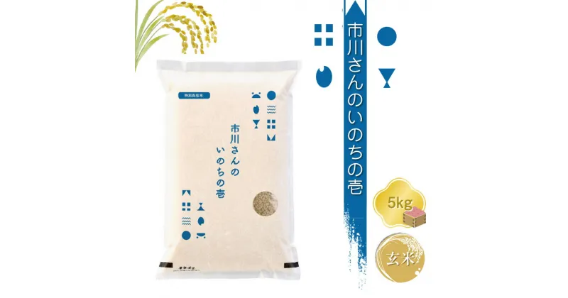 【ふるさと納税】特別栽培米　市川さんのいのちの壱　令和6年産【玄米5kg】　コメ　信州　希少　おいしい　ごはん【 米 コメ 備蓄品 仕送り おすそ分け 備蓄米 長野県 佐久市 】