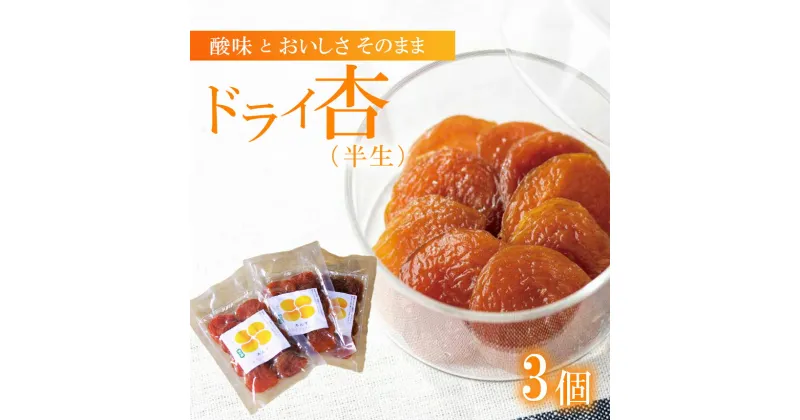 【ふるさと納税】 酸味とおいしさそのまま ドライ杏 (半生) 3個 ｜ あんず ドライフルーツ 特産品 千曲市 長野県 千曲市長野県