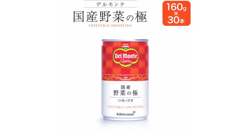 【ふるさと納税】 国産原料にこだわり デルモンテ 国産 野菜の極 160g×30本(野菜ジュース) ｜ 野菜ジュース 国産 千曲市 長野県