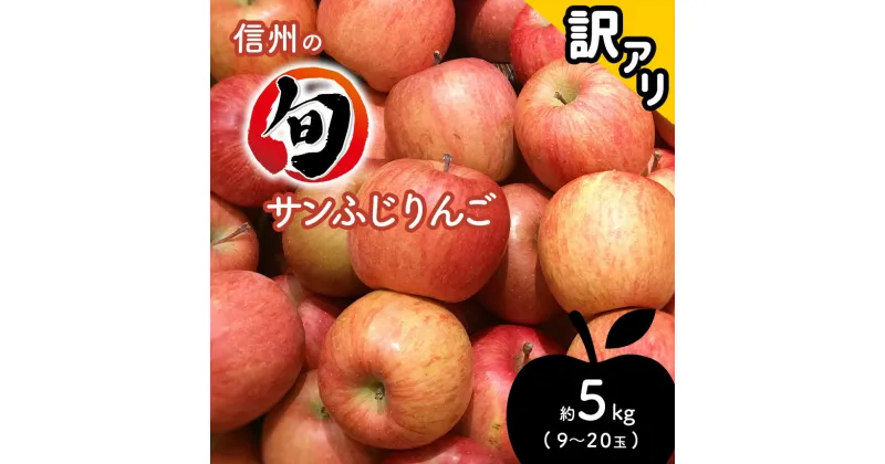 【ふるさと納税】 サンふじ りんご 訳あり 約5kg 9〜20玉 ｜ 先行予約 サンフジ リンゴ 林檎 訳アリ 5kg フルーツ 特産品 千曲市 長野県