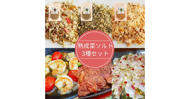 【ふるさと納税】 【漬物屋が作る新しい調味料】熟成菜ソルト3種セット ｜ ソルト 漬物 調味料 特産品 千曲市 長野県