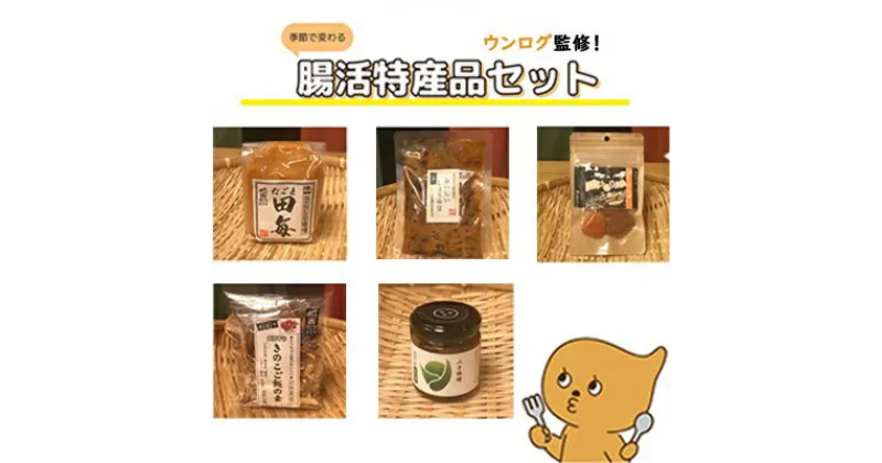 【ふるさと納税】 ウンログ監修！季節で変わる腸活特産品セット おまかせ5種 ｜ 腸活 ウンログ セット 特産品 千曲市長野県