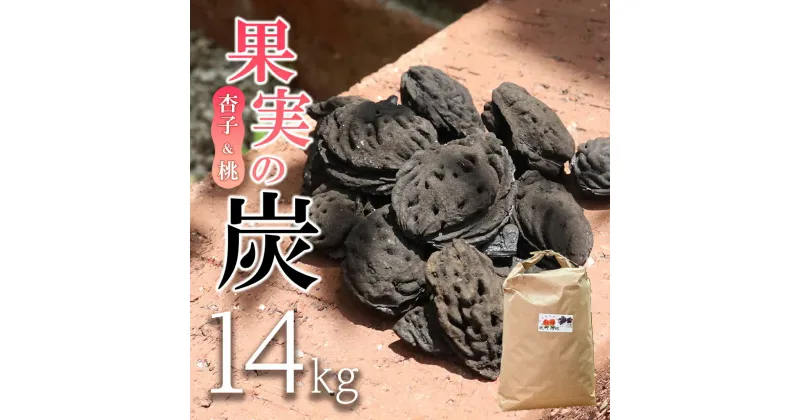 【ふるさと納税】 【炭】 果実の炭 （杏子 & 桃）14kg ｜ 炭 果実炭 杏 杏子 桃 特産品 千曲市 長野県