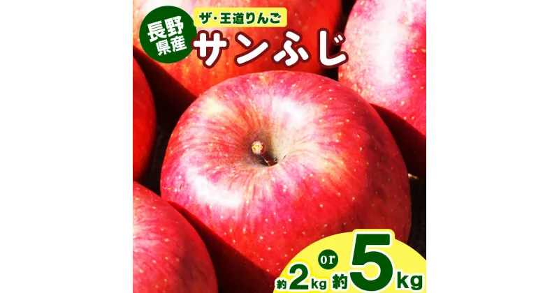 【ふるさと納税】 ザ・王道 りんご サンふじ 約2kg 約5kg | 果物 フルーツ りんご リンゴ 林檎 信州りんご 信州産 長野県産りんご ふじ サンふじ 千曲市 長野県 先行予約