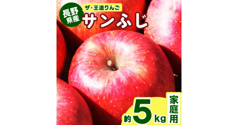 【ふるさと納税】 ザ・王道 りんご サンふじ 家庭用 約5kg | 果物 フルーツ りんご リンゴ 林檎 信州りんご 信州産 長野県産りんご ふじ サンふじ 家庭用 千曲市 長野県 先行予約