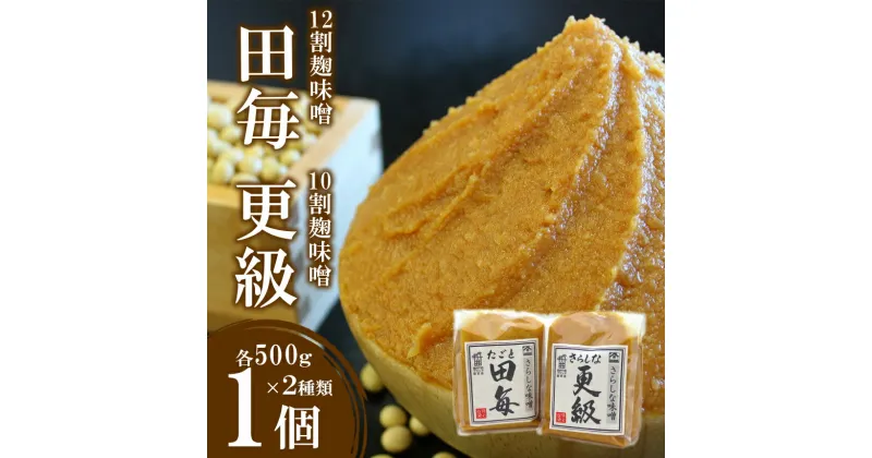 【ふるさと納税】 12割麹みそ「田毎」・10割麹みそ「更級」（各500g×1ヶ） ｜ 味噌 麹味噌 麹 田毎 更級 12割 10割 特産品 千曲市 長野県