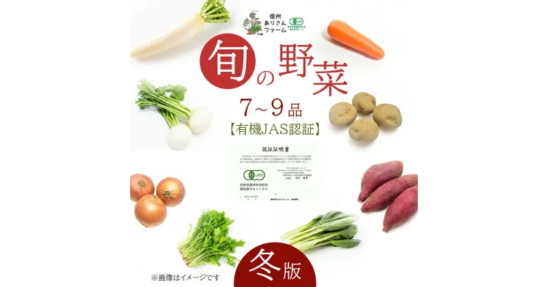 【ふるさと納税】信州ありさんファーム 旬の野菜 7～9品 冬版 【有機JAS認証】 | 野菜 ベジタブル 冬野菜 旬の野菜 農家直送 詰め合わせ セット 有機栽培 オーガニック 有機JAS ビタミンC 食物繊維 健康 美容 信州 特産品 千曲市 長野県