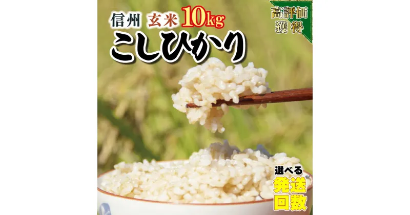 【ふるさと納税】 信州米 こしひかり 【 玄米 】 容量 5kg （ 5kg×1袋 ） 10kg （ 5kg×2袋 ）15kg （ 5kg×3袋 ）長野県産｜ コシヒカリ お米 玄米 10kg 特産品 千曲市 長野県 | 選べる 発送回数 げんまい 定期便 定期 便利 1等米 日本一 ごはん 米 こめ 分布会