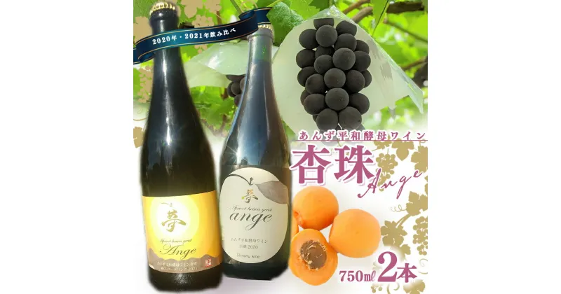 【ふるさと納税】あんず 平和酵母 ワイン 杏珠 飲み比べセット ｜ お酒 杏 酵母 特産品 千曲市 長野県 果実酒 巨峰 スパークリング 果実酒 あんずワイン 酒 アルコール