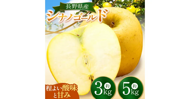 【ふるさと納税】シナノゴールド 約 3 kg or 約 5 kg ｜ シナノゴールド しなのごーるど りんご 林檎 リンゴ フルーツ 果物 スイーツ おやつ 特産品 千曲市 長野県 信濃