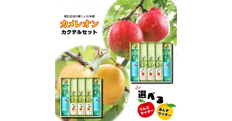 【ふるさと納税】カメレオンカクテルセット（カクテルベース用日本酒2本・地サイダー3本入り） | お酒 カクテル 日本酒 りんご あんず ソーダ 千曲市 長野県