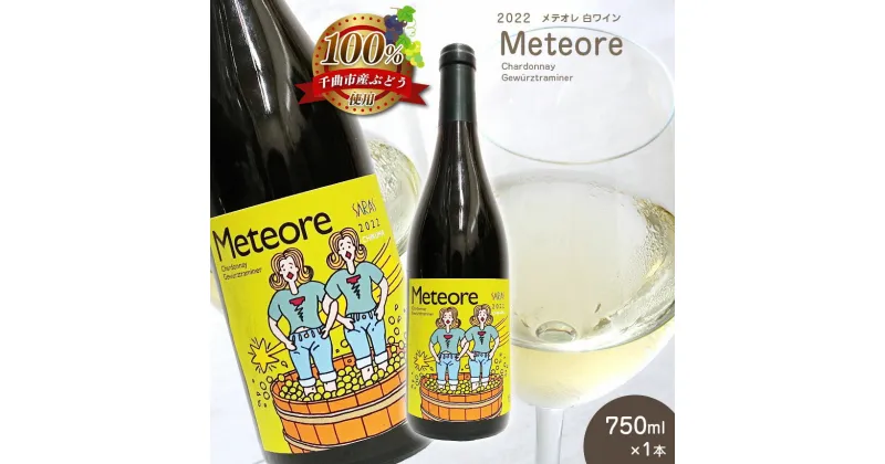 【ふるさと納税】2022 Meteore メテオレ 750ml × 1本 ｜飲料 洋酒 お酒 アルコール ドリンク ワイン 白ワイン シャルドネ ゲヴュルツトラミネール wine Chardonnay gewurztraminer 2022 メテオレ Meteore ワイン用 ぶどう 品種 特産品 千曲市 長野県 日本 ワイナリー