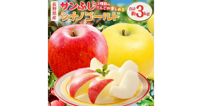 【ふるさと納税】 サンふじ＋シナノゴールド りんご 約3kg ｜ 特産品 フルーツ 果実 果物 くだもの りんご 林檎 リンゴ ふじ サンふじ シナノゴールド 長野県 千曲市 信州 先行予約