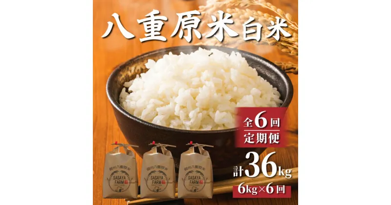 【ふるさと納税】【6回定期便】東御市産令和6年産八重原米6kg×6回 お米 コシヒカリ白米 美味しい 甘い ギフト お中元 お歳暮 自宅用 家庭用 国産 長野県東御市