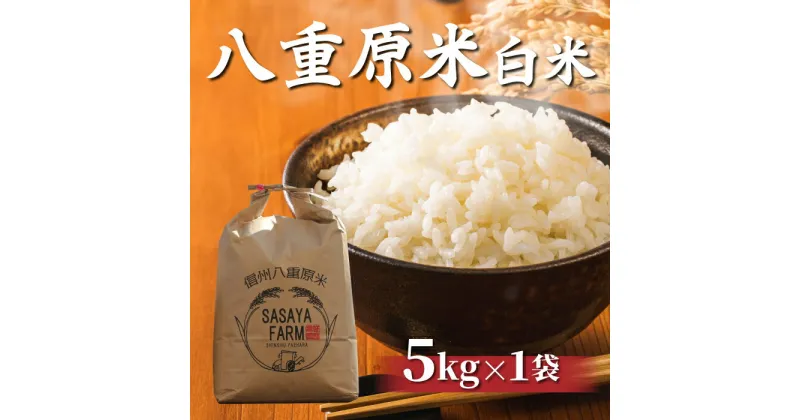 【ふるさと納税】令和6年産八重原米新米予約 精米 5kg (5kg×1袋) お米 コシヒカリ白米 美味しい 甘い ギフト お中元 お歳暮 自宅用 家庭用 国産長野県東御市