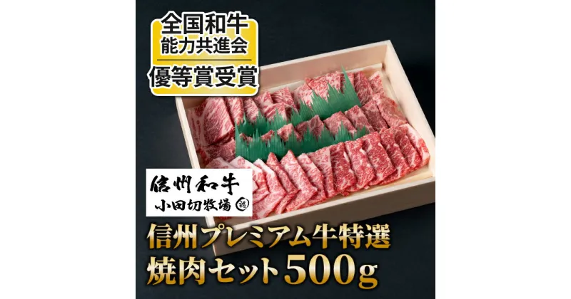 【ふるさと納税】小田切牧場 信州プレミアム牛 特選焼肉セット 500g (牛バラ肉・牛モモ肉) 焼肉 食べ比べ 赤身 鉄板焼き ギフト 父の日 お中元 お歳暮 美味しい お取り寄せ 食品 冷凍 国産 長野県