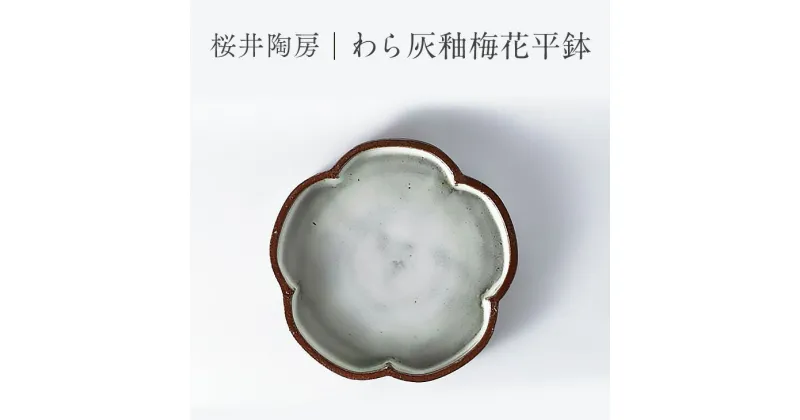 【ふるさと納税】桜井陶房 わら灰釉梅花平鉢 菓子器 プレート 陶器 和皿 花型 おしゃれ ギフト プレゼント 伝統工芸 食器 日本製 長野県東御市