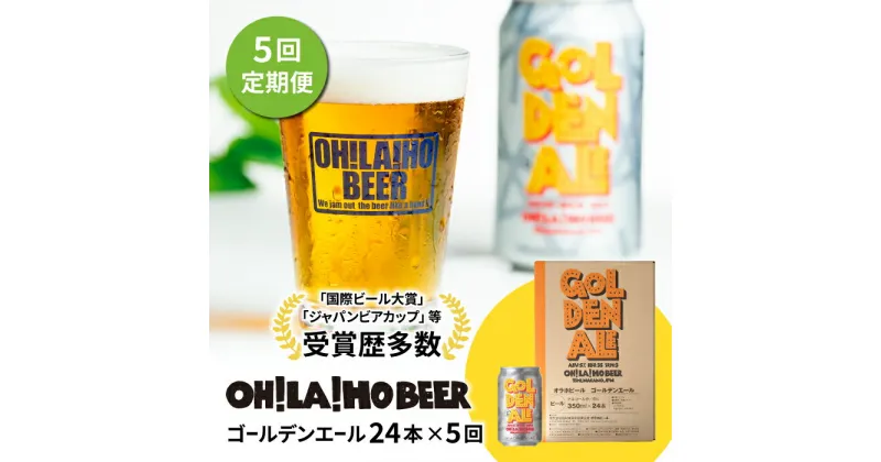 【ふるさと納税】【5回定期便】クラフトビール ゴールデンエール 24本セット オラホビール お酒 おしゃれ 地ビール ギフト 美味しい 国産 長野県東御市