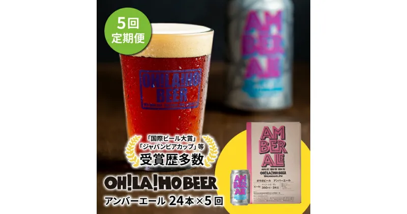 【ふるさと納税】クラフトビール アンバーエール 24本セット 定期便 (5回) オラホビール お酒 おしゃれ 地ビール ギフト 美味しい 国産 長野県東御市