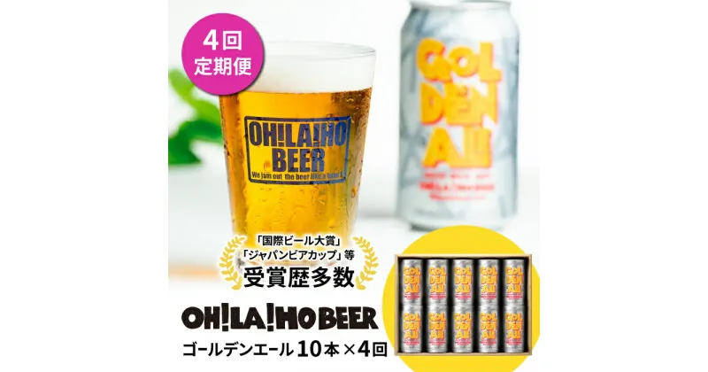 【ふるさと納税】クラフトビール ゴールデンエール 10本セット 定期便 (4回) オラホビール お酒 おしゃれ 地ビール ギフト 美味しい 国産 長野県東御市