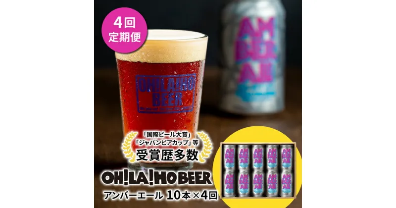 【ふるさと納税】【4回定期便】クラフトビール アンバーエール 10本セット オラホビール お酒 おしゃれ 地ビール ギフト 美味しい 国産 長野県東御市