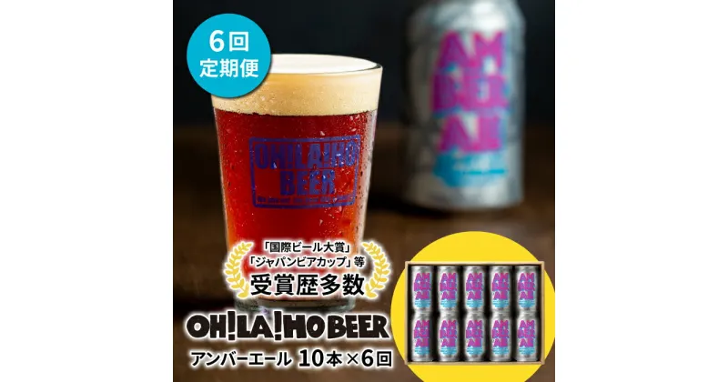 【ふるさと納税】【6回定期便】クラフトビール アンバーエール 10本セット オラホビール お酒 おしゃれ 地ビール ギフト 美味しい 国産 長野県東御市