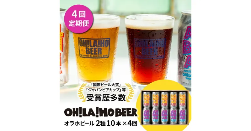 【ふるさと納税】クラフトビール 定期便 (4回) 飲み比べ 10本セット (ゴールデンエール・アンバーエール) オラホビール 詰め合わせ お酒 地ビール ギフト プレゼント お歳暮 お中元 父の日 長野県東御市