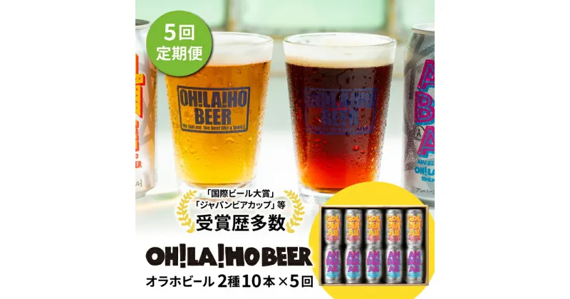 【ふるさと納税】クラフトビール 定期便 (5回) 飲み比べ 10本セット (ゴールデンエール・アンバーエール) オラホビール 詰め合わせ お酒 地ビール ギフト プレゼント お歳暮 お中元 父の日 長野県東御市