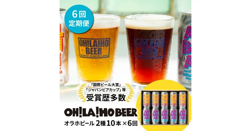 【ふるさと納税】クラフトビール 定期便 (6回) 飲み比べ 10本セット (ゴールデンエール・アンバーエール) オラホビール 詰め合わせ お酒 地ビール ギフト プレゼント お歳暮 お中元 父の日 長野県東御市