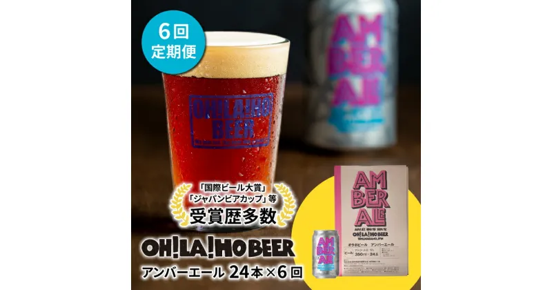 【ふるさと納税】クラフトビール アンバーエール 24本セット 定期便 (6回) オラホビール お酒 おしゃれ 地ビール ギフト 美味しい 国産 長野県東御市